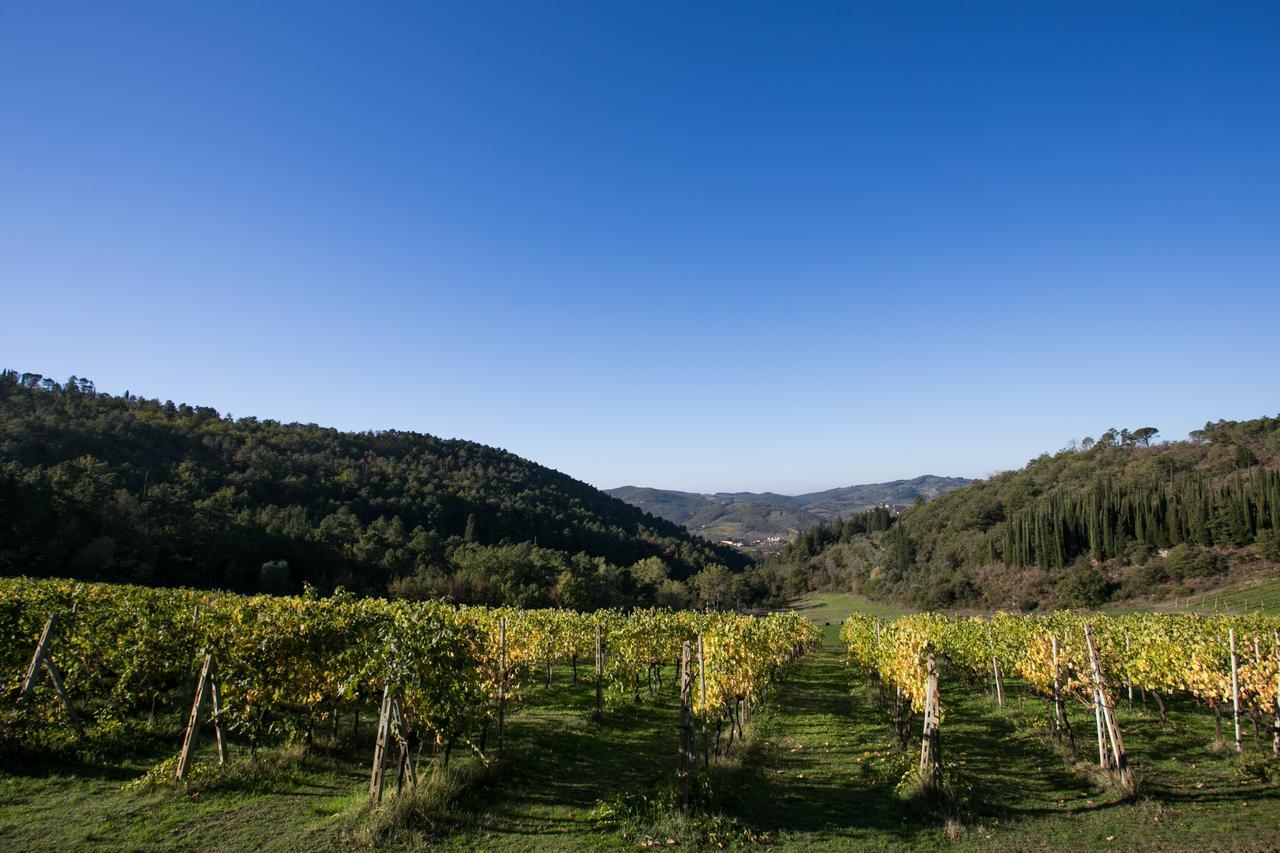 Casa Marina Lejlighed Greve in Chianti Eksteriør billede