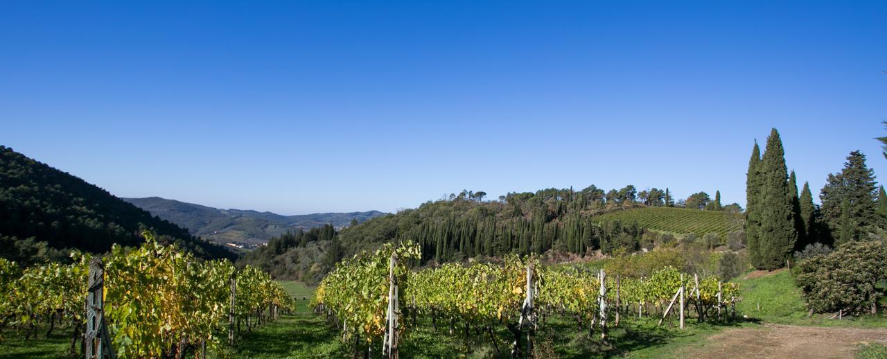 Casa Marina Lejlighed Greve in Chianti Eksteriør billede